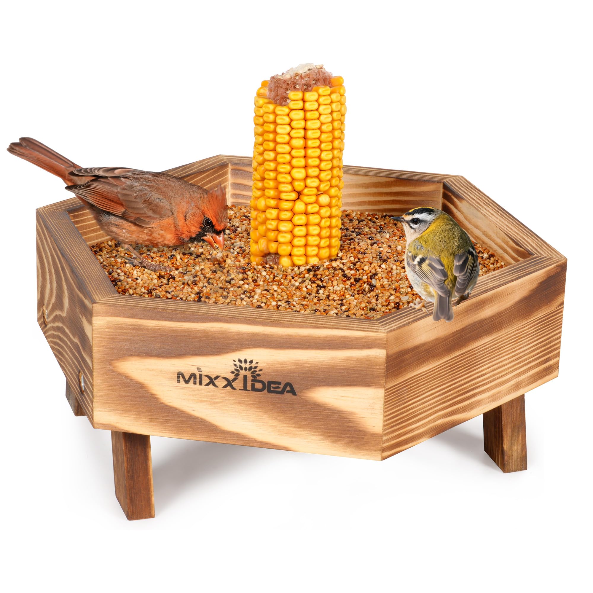 Attracting Beautiful Birds to Your Garden: The Magic of Bird Feeders ...