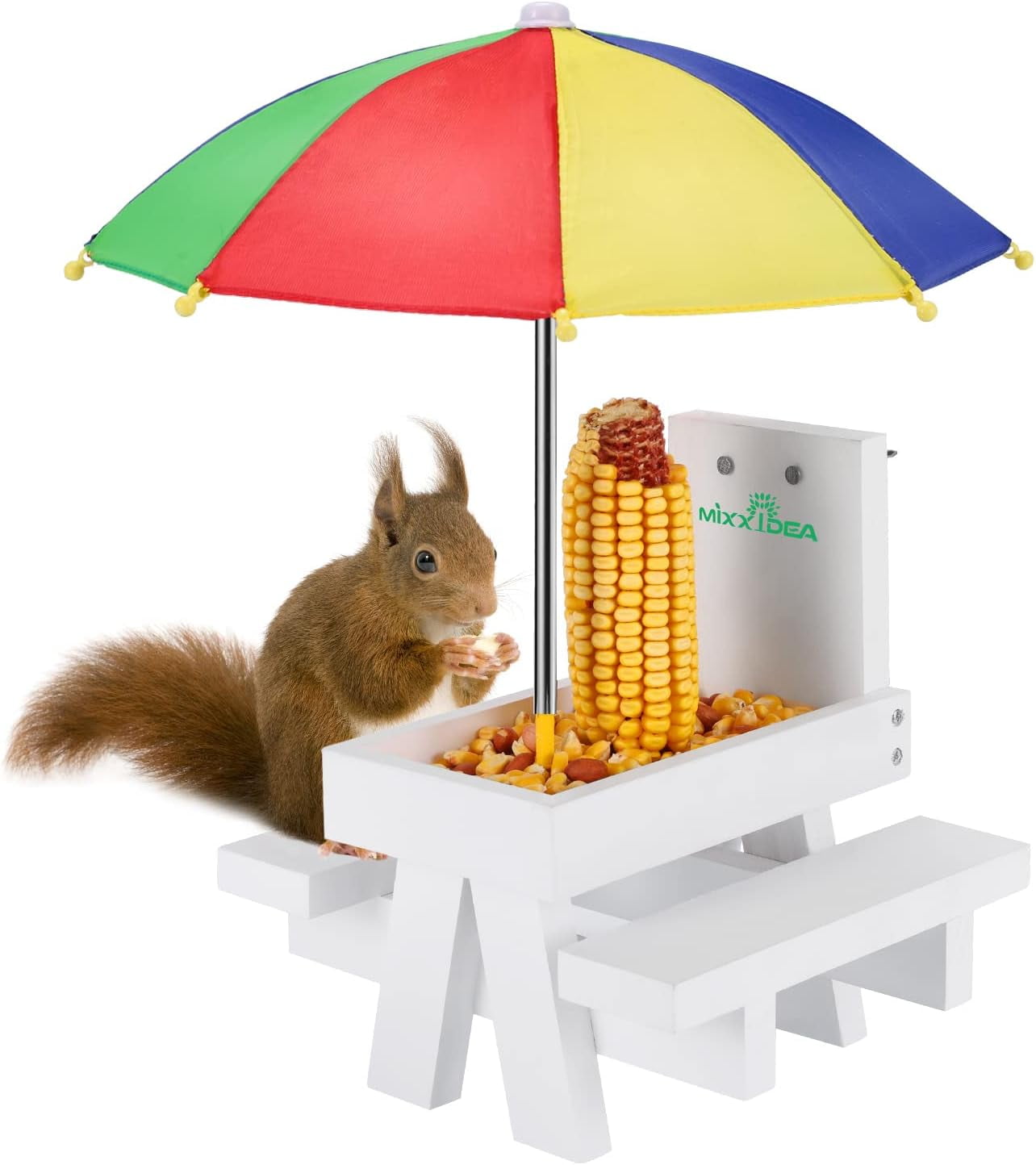 Why You Should Add a Squirrel Feeder to Your Backyard – Mixxidea