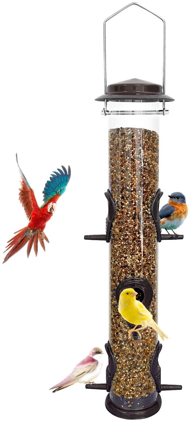 bird feeder