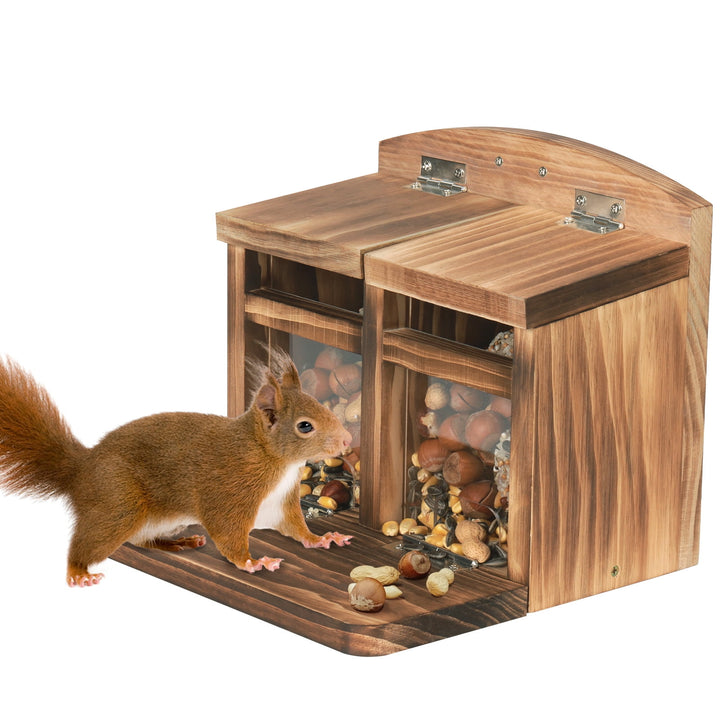 Squirrel Feeders