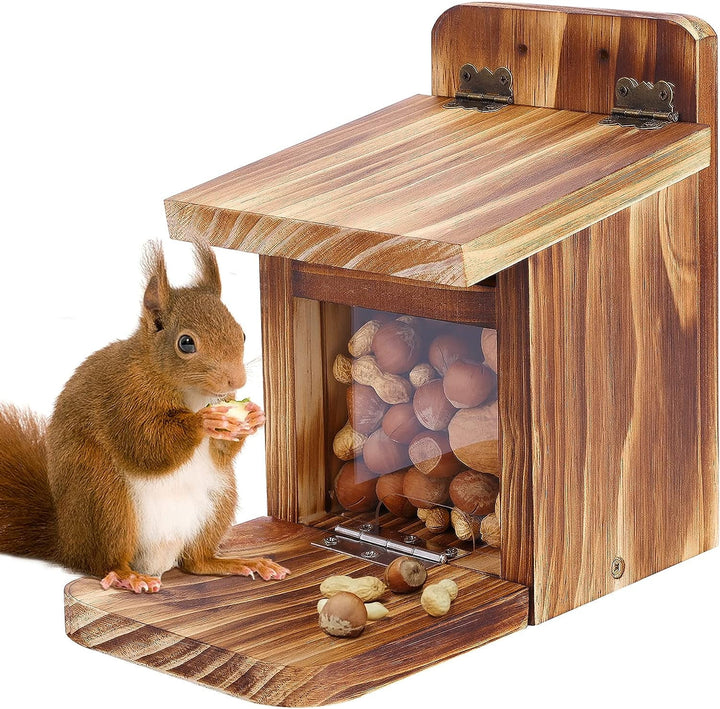 Squirrel Feeders