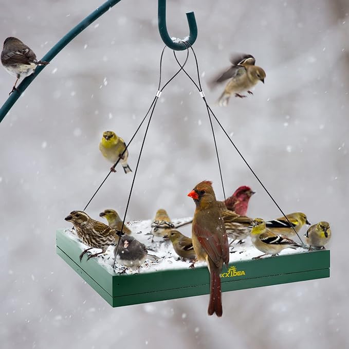 MIXXIDEA Bird Feeder Hanging Tray