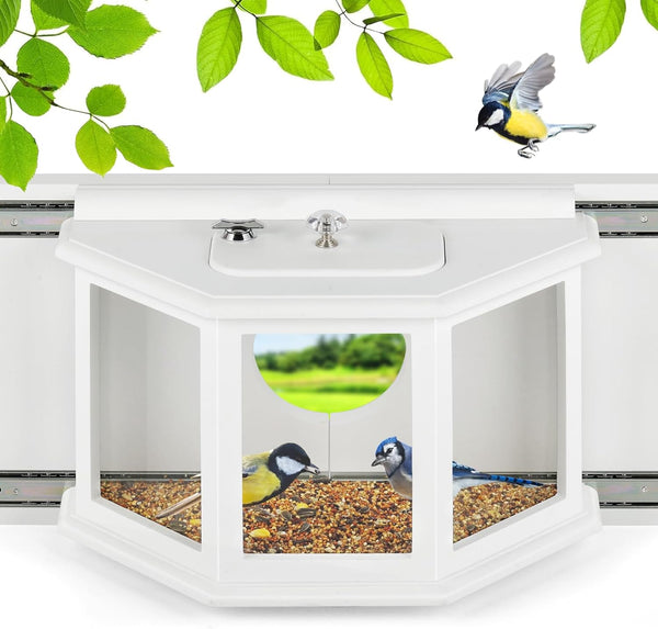 Window Bird Feeder Inside House Bird Feeder Window 180°for Viewing Rail Sliding with Locker Squirrel Proof Easy Assemble