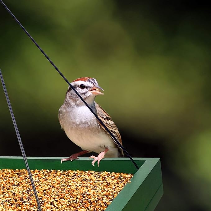 MIXXIDEA Bird Feeder Hanging Tray