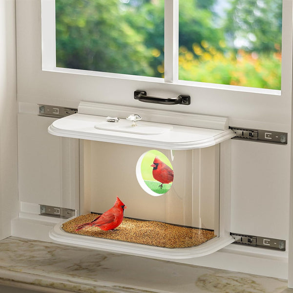 Window Bird Feeder Inside House Bird Feeder Window 180°for Viewing Rail Sliding with Locker Squirrel Proof Easy Assemble (with Tray)