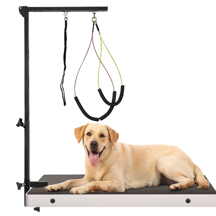 All Dog Grooming