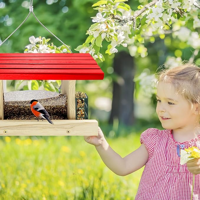 MIXXIDEA Cedar Bird Feeder