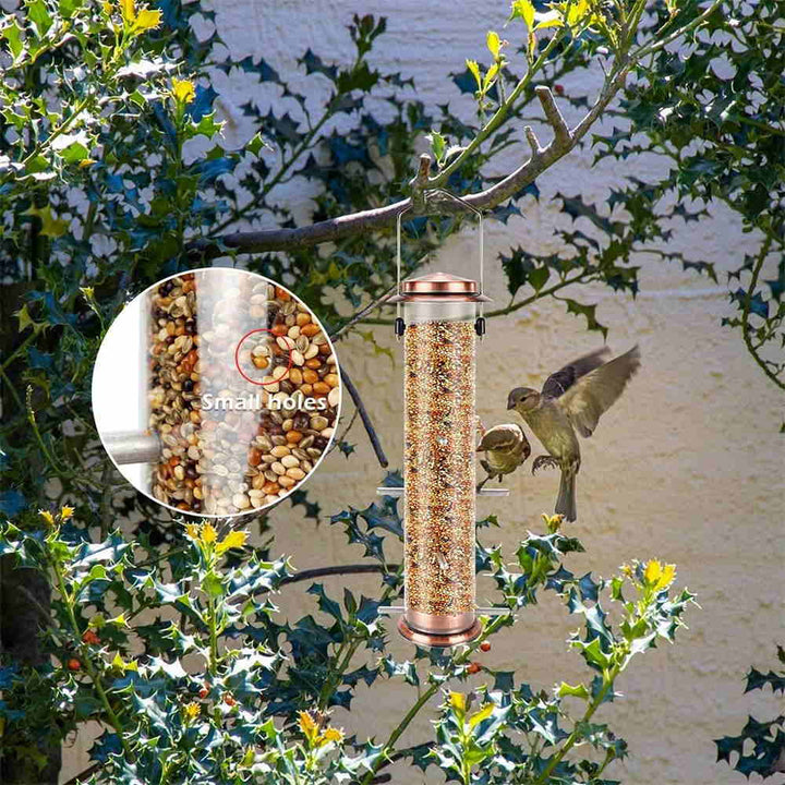 Birds feeding Metal Tube 