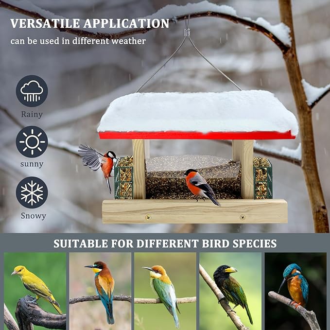 Suitable Hanging Bird Feeder 