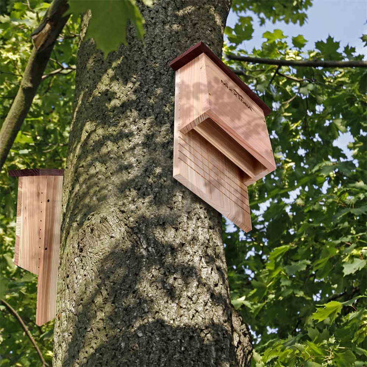 Bat house image