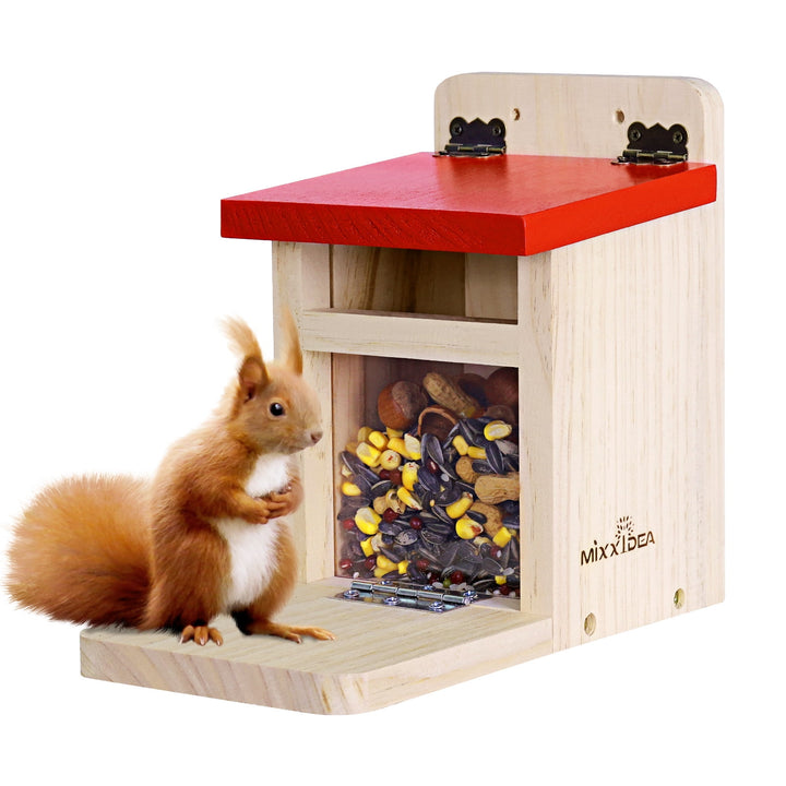 Squirrel Feeders